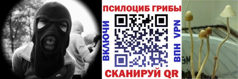 MEGA зеркало  Шатура  Псилоцибиновые грибы ЛСД 
